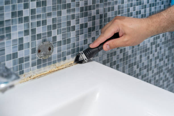 Best Mold Removal Near Me  in Glenns Ferry, ID